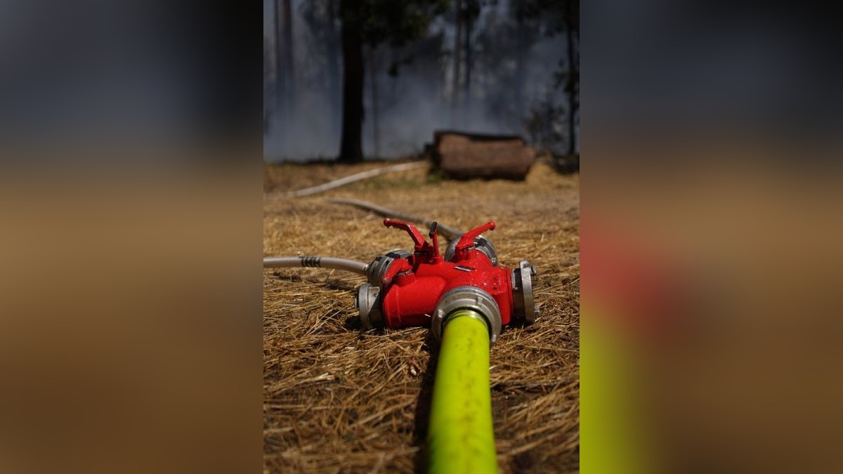 Mehrere Feuerwehren sind zurzeit im Landkreis Greiz im Einsatz. Dort brennen sowohl ein Wald als auch ein angrenzendes Feldstück.