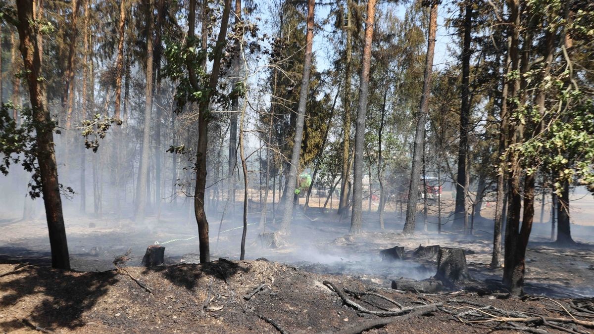 Mehrere Feuerwehren sind zurzeit im Landkreis Greiz im Einsatz. Dort brennen sowohl ein Wald als auch ein angrenzendes Feldstück.