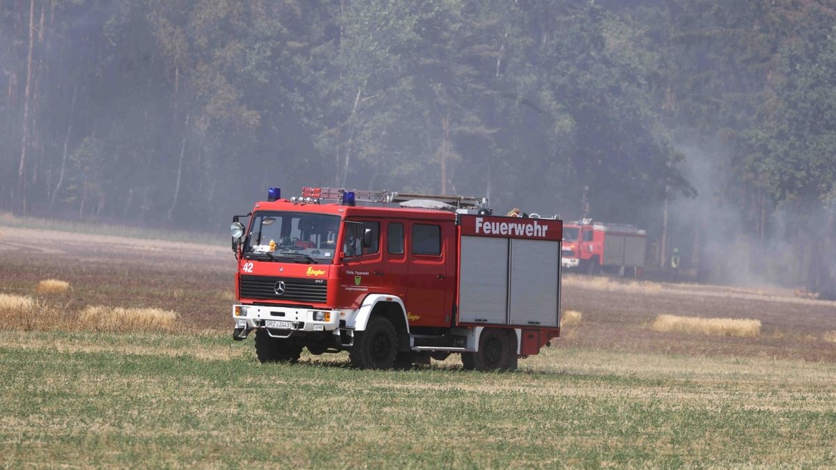 Mehrere Feuerwehren sind zurzeit im Landkreis Greiz im Einsatz. Dort brennen sowohl ein Wald als auch ein angrenzendes Feldstück.