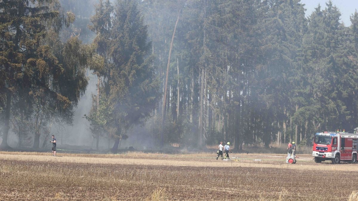 Das Feuer ist nach Angaben der Leitstelle Gera am Montag aus bisher unbekannter Ursache von einem Feld bei Zeulenroda-Triebes in den Wald übergegangen.