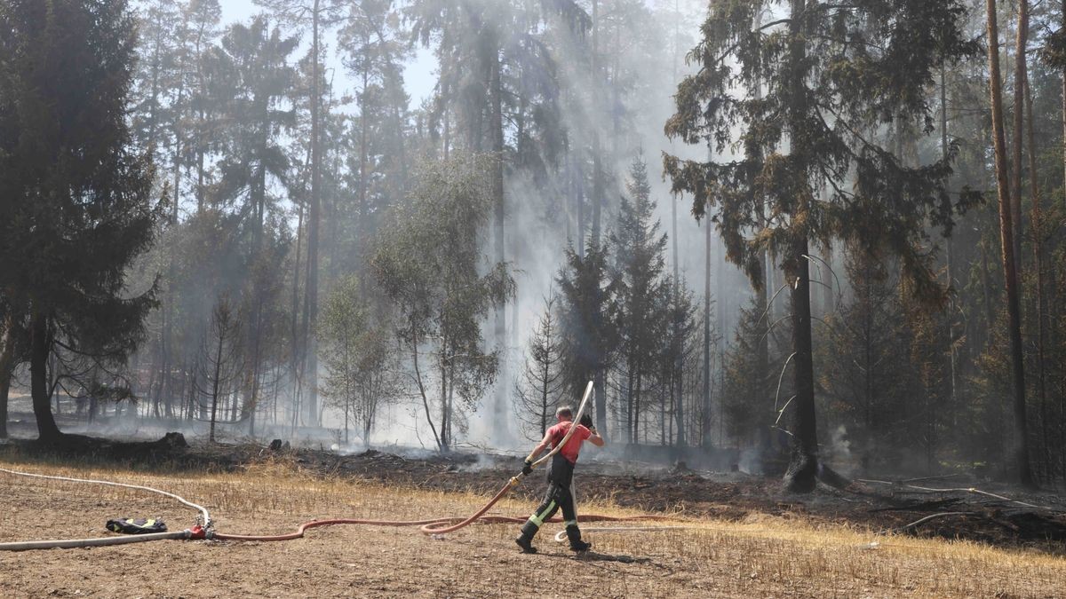 Mehrere Feuerwehren sind zurzeit im Landkreis Greiz im Einsatz. Dort brennen sowohl ein Wald als auch ein angrenzendes Feldstück.