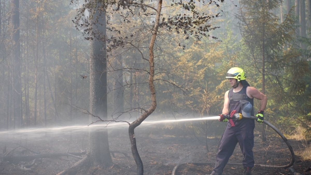 In Ostthüringen sind gut drei Hektar Wald- und Feldfläche in Brand geraten.