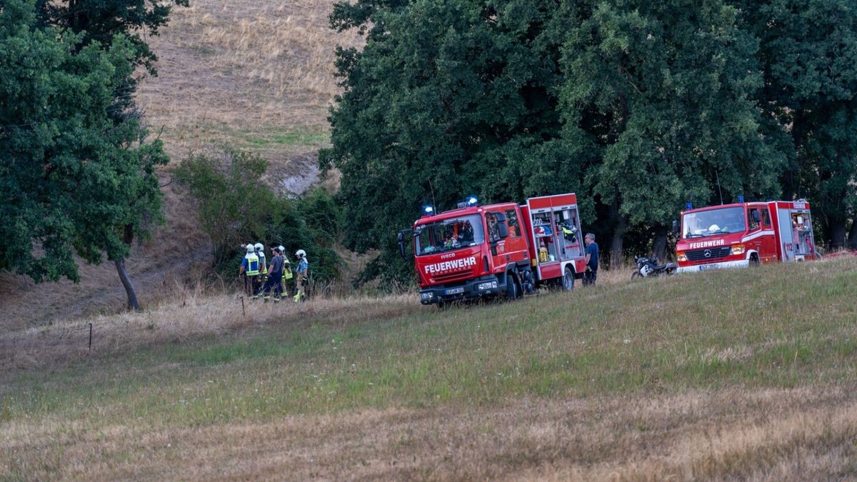 Das Feuer breitete sich schnell auf eine angrenzende Wiese aus, erfasste eine Gartenhütte und drohte, auf den Waldstreifen nördlich der Bundesstraße überzugreifen.