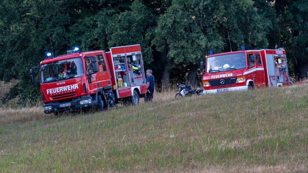 Insgesamt waren 3,5 Hektar betroffen.