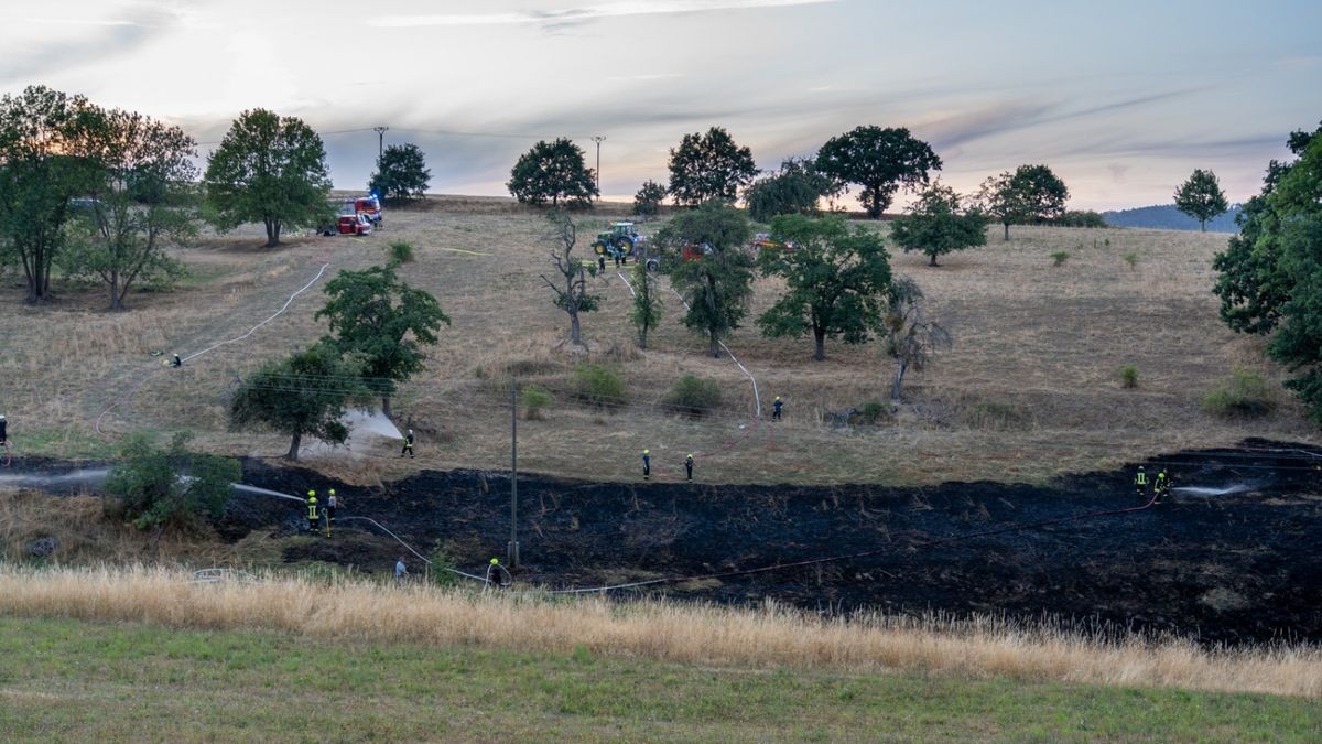 Los ging es am späten Vormittag mit einem Vegetationsbrand an der B88 zwischen Rudolstadt und Kirchhasel.