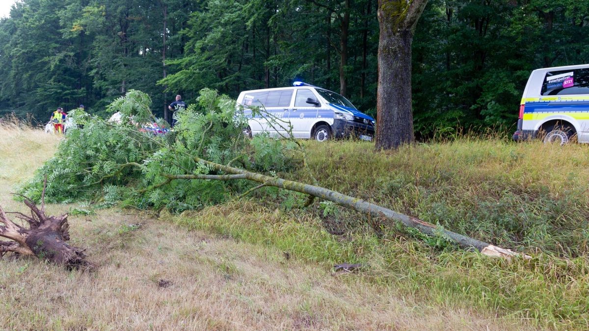 Zu einem schweren Verkehrsunfall ist es am Samstag auf der Straße zwischen Meinigen und Sülzfeld (Landkreis Schmalkalden-Meiningen) gekommen. Dabei wurde der Fahrer aus dem Auto geschleudert und verstarb noch vor Ort.