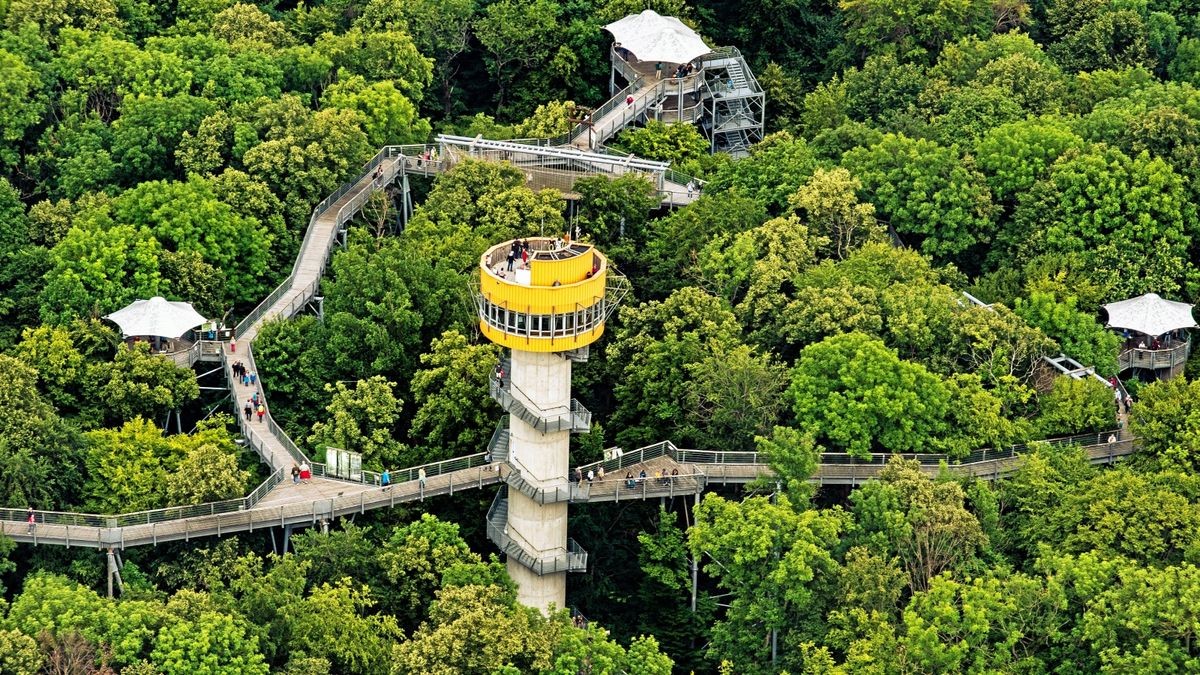 Eine Übersicht vom Baumkronenpfad im Nationalpark Hainich, Nationalparkzentrum, Parkplatz am Nationalpark und Spielplatz.