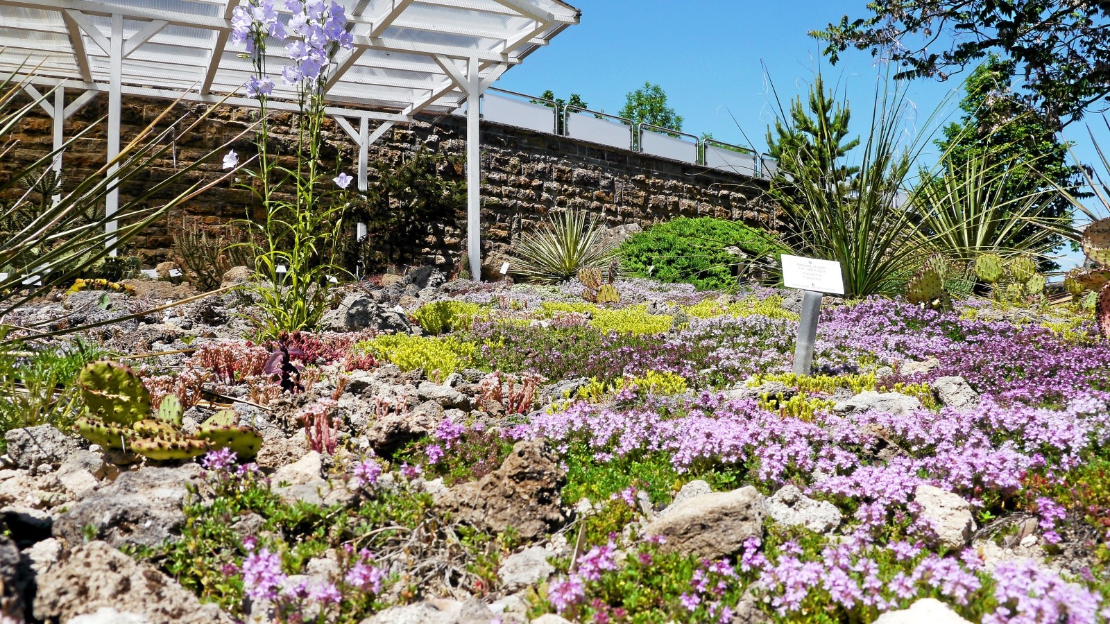 Botanischer Garten in Bad Langensalza kommt wieder