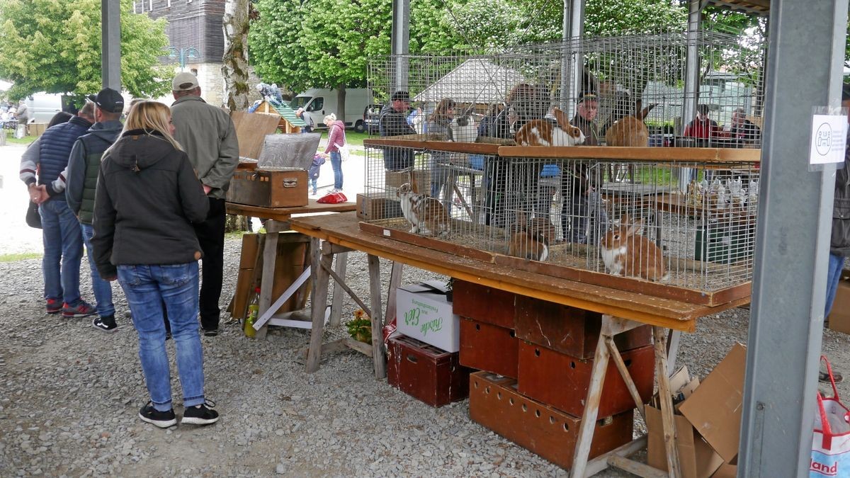 Auch lebende Tiere gibt es beim traditionellen  Bauernmarkt im Klostergut Volkenroda zu kaufen.