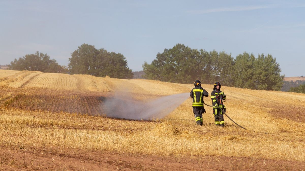 Nach Angaben der Feuerwehr gab es mehrere Brandherde, die genaue Brandursache ist aktuell noch unklar. 