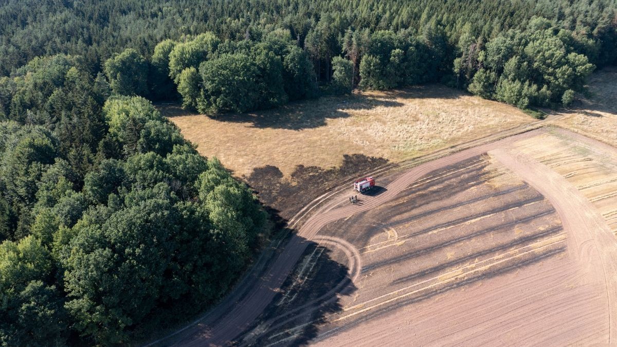 Nach Angaben der Feuerwehr gab es mehrere Brandherde, die genaue Brandursache ist aktuell noch unklar. 