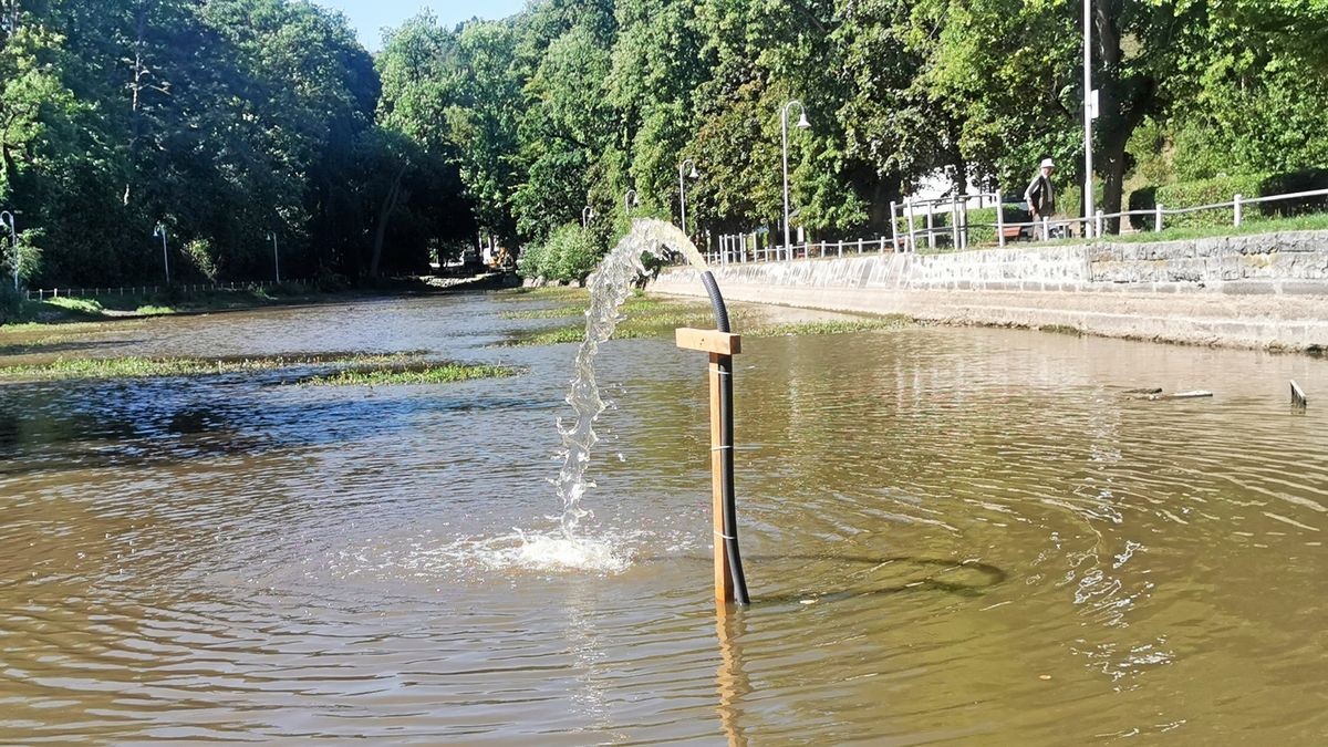 Weil aus dem Mariental kein Wasser in den Prinzenteich mehr läuft ist der Pegel extrem gesunken, verliert der Teich Sauerstoff. Mittels Tauchpumpe soll das Gewässer belüftet werden.