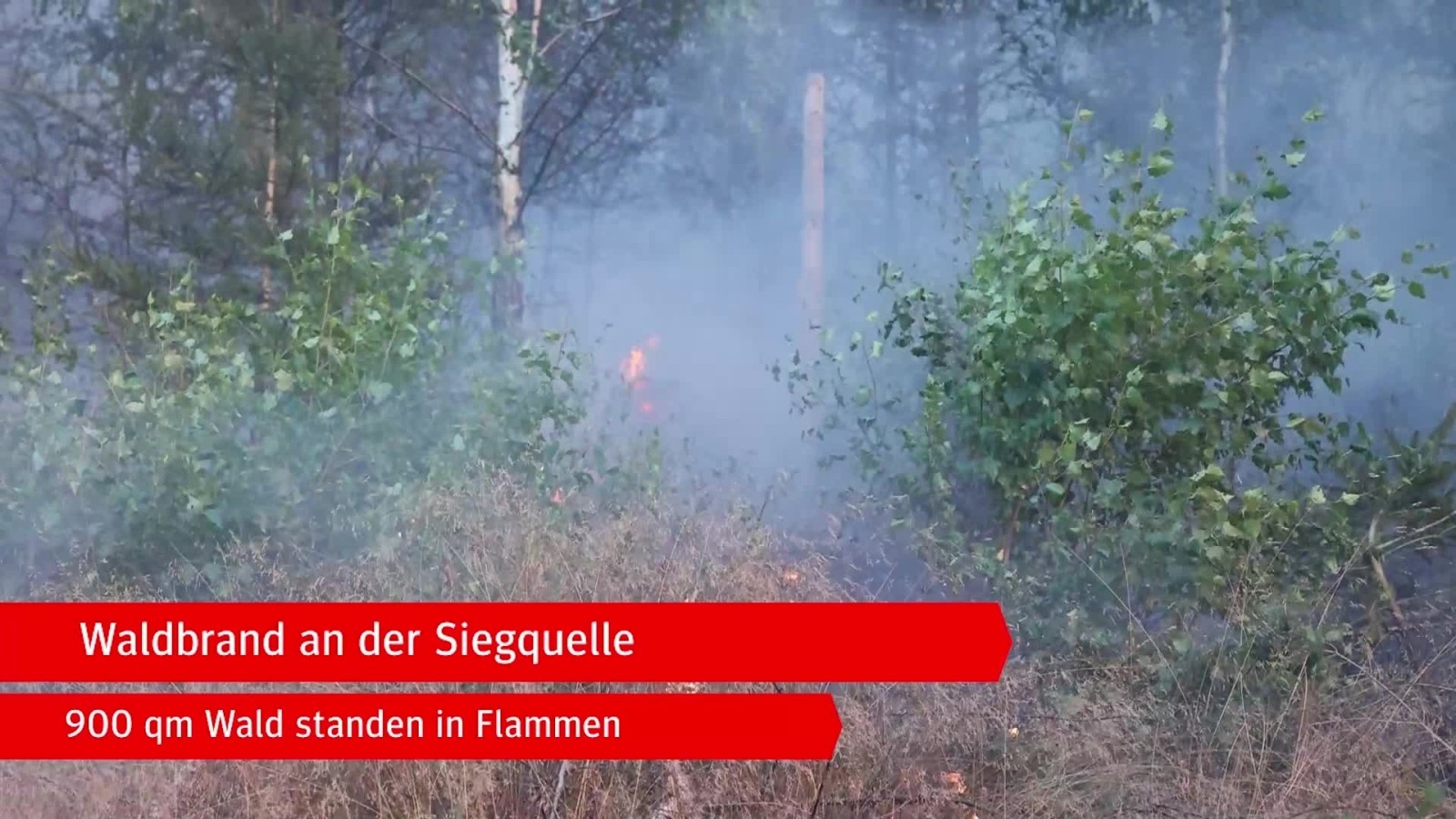 Waldbrand Lahn-Dill-Kreis: Kampf gegen Feuer geht weiter
