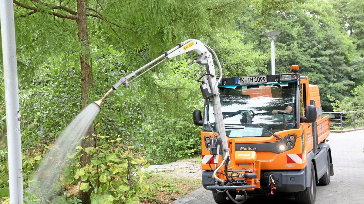 Der SIH leistet bei Trockenheit Schwerstarbeit bei der Bewässerung der städtischen Grünflächen, wie hier an der Vogelvoliere am kleinen Seilersee.