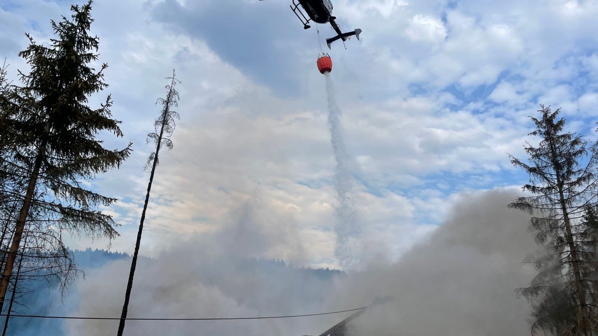 Am Mittwoch gerieten auf einem Berg nördlich von Steinach (Landkreis Sonneberg) ein Bagger und ein Rückemaschine bei Holzarbeiten in Brand.