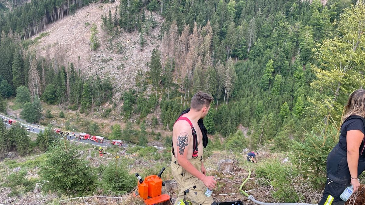 Durch das steile Gelände gelangte die Feuerwehr nur schwer an die Einsatzstelle. 