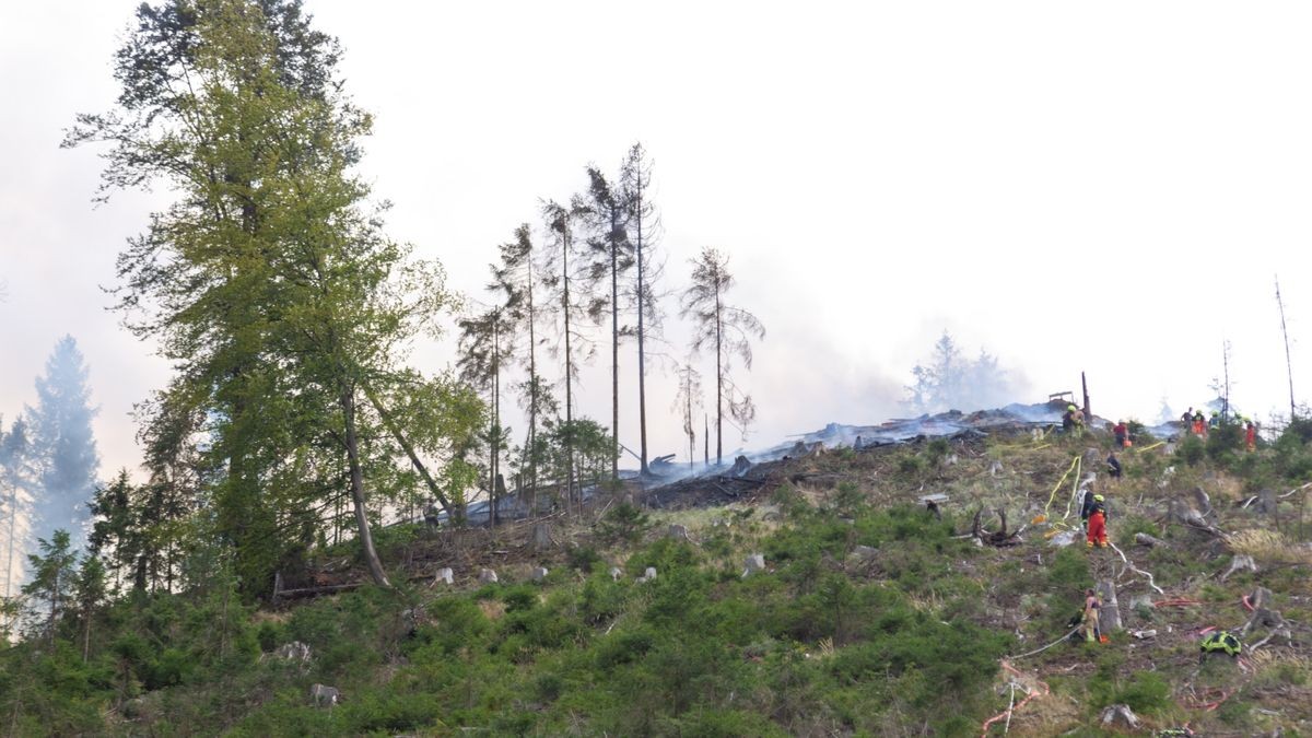 Am Mittwoch gerieten auf einem Berg nördlich von Steinach (Landkreis Sonneberg) ein Bagger und ein Rückemaschine bei Holzarbeiten in Brand.