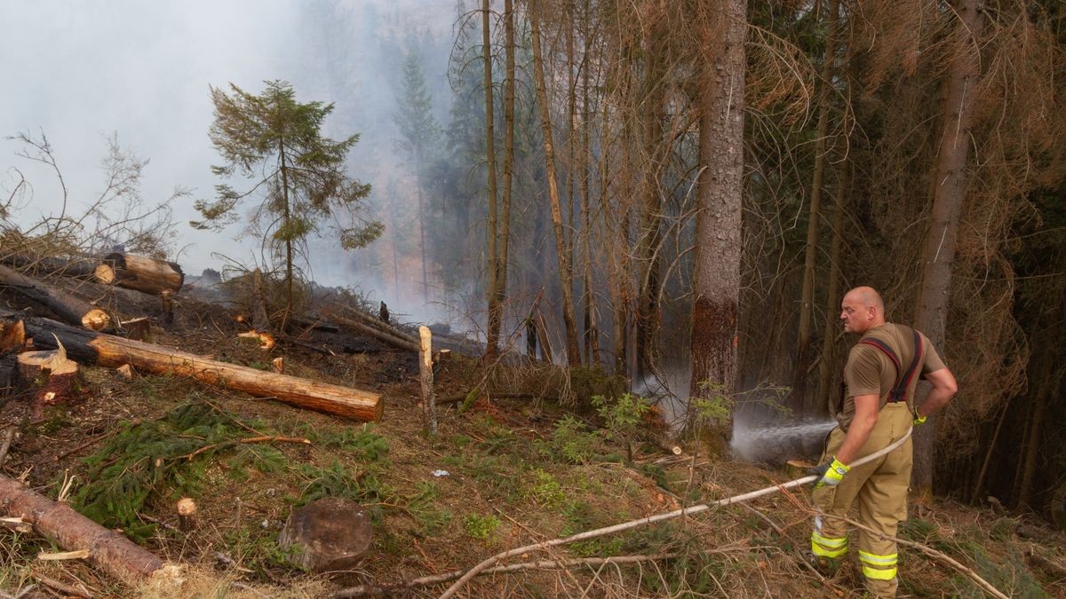 Am Mittwoch gerieten auf einem Berg nördlich von Steinach (Landkreis Sonneberg) ein Bagger und ein Rückemaschine bei Holzarbeiten in Brand.