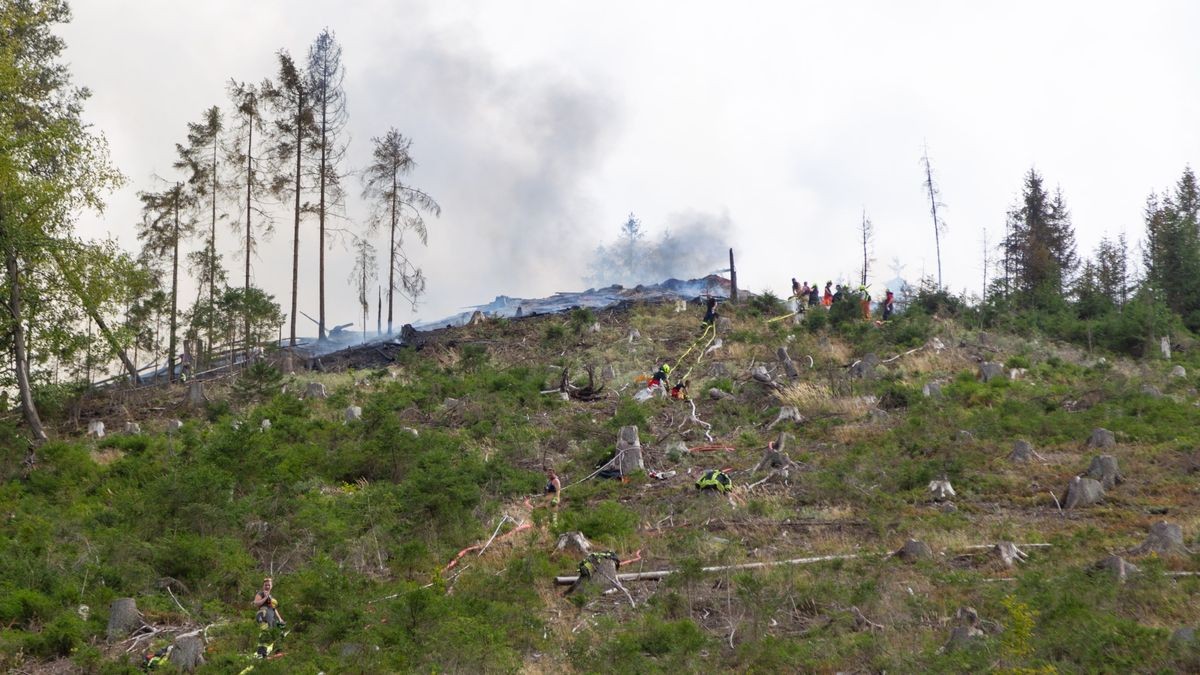 Am Mittwoch gerieten auf einem Berg nördlich von Steinach (Landkreis Sonneberg) ein Bagger und ein Rückemaschine bei Holzarbeiten in Brand.