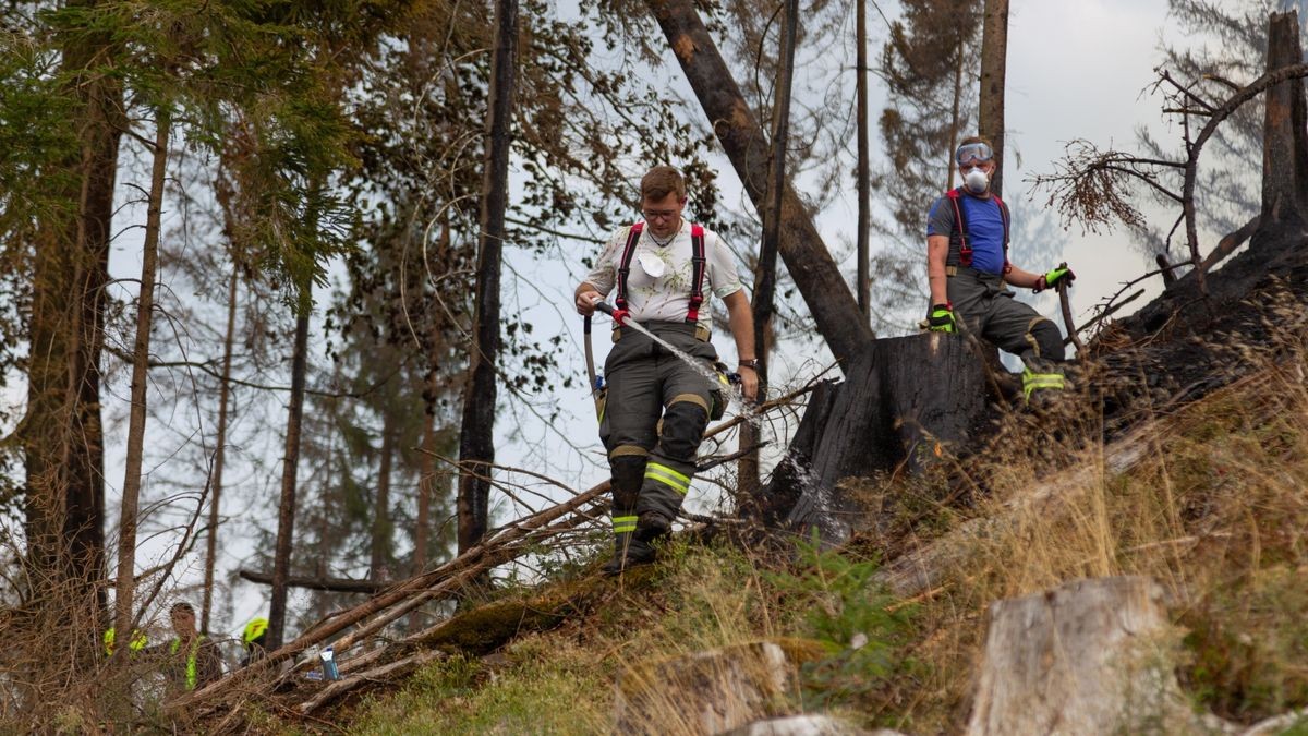 Am Mittwoch gerieten auf einem Berg nördlich von Steinach (Landkreis Sonneberg) ein Bagger und ein Rückemaschine bei Holzarbeiten in Brand.