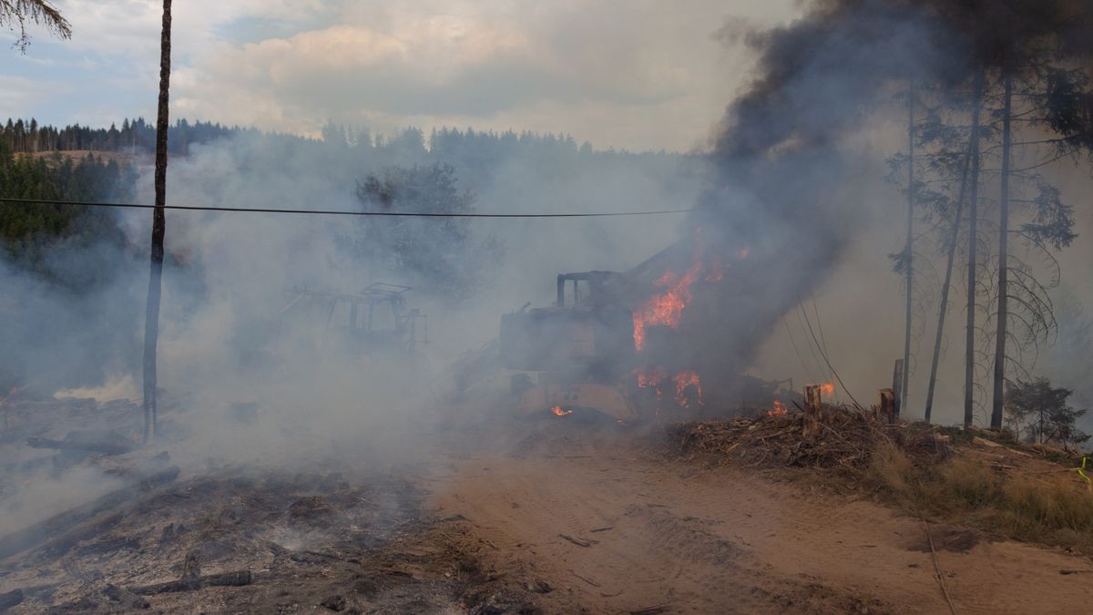 Am Mittwoch gerieten auf einem Berg nördlich von Steinach (Landkreis Sonneberg) ein Bagger und ein Rückemaschine bei Holzarbeiten in Brand.