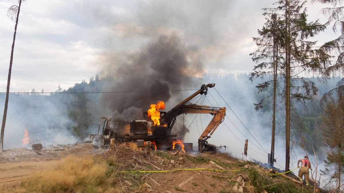 Am Mittwoch gerieten auf einem Berg nördlich von Steinach (Landkreis Sonneberg) ein Bagger und ein Rückemaschine bei Holzarbeiten in Brand.