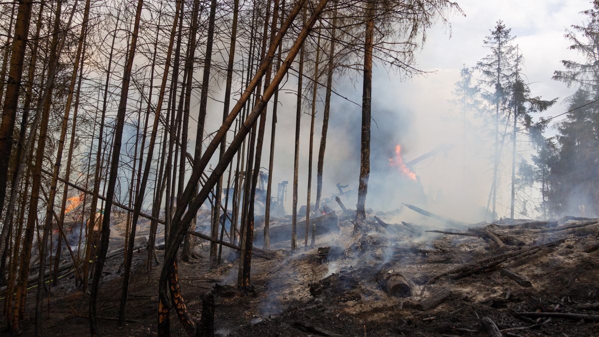 Am Mittwoch gerieten auf einem Berg nördlich von Steinach (Landkreis Sonneberg) ein Bagger und ein Rückemaschine bei Holzarbeiten in Brand.