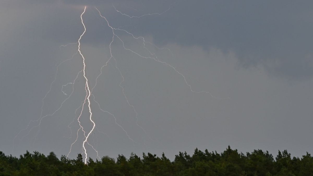 Ein Blitz entlädt sich über einem Waldstück. (Symbolfoto)