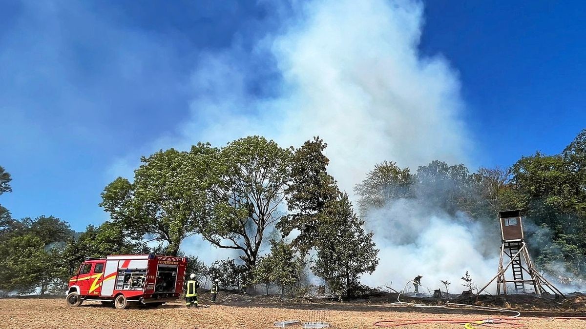 Mehrere Feuerwehren sowie der Betreuungszug, Landwirte und der Polizeihubschrauber sind im Einsatz.