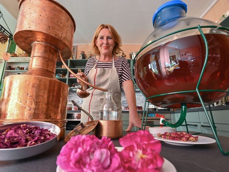 Schönheit trifft auf Geschmack Was Blüten alles können