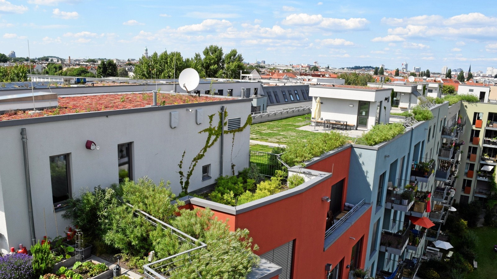 Gevelsberg Stadt gibt Geld für die Begrünung unserer Dächer