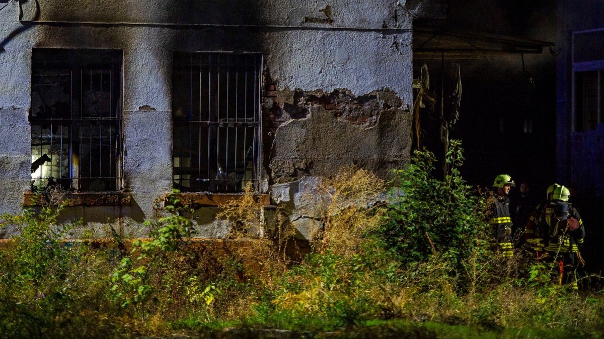 Bei einem Brand in einem leerstehenden Gebäude ist in der Nacht zum Mittwoch in Erfurt ein Mensch ums Leben gekommen.