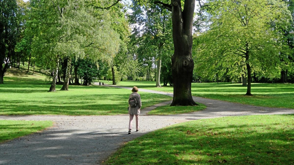 Wolfenbüttels SeeligerPark wird neu gestaltet