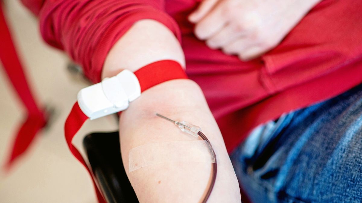 100 Liter Blut brauchen die Thüringer Kliniken und Krankenhäuser jeden Tag. Dafür sind mindestens 200 Blutspenden nötig – täglich. Ob dieses Ziel im Herbst und Winter erreicht wird, ist fraglich.