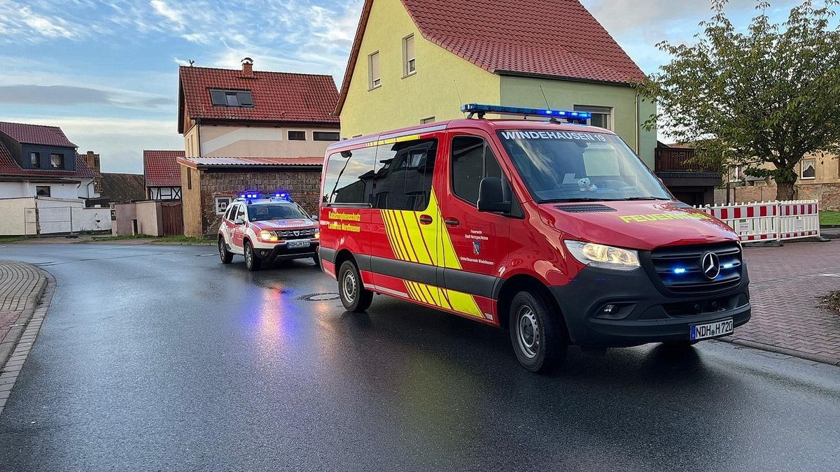 Der junge Mann blieb bei dem Unfall unverletzt und auch die Katze überlebte das Ausweichmanöver. 