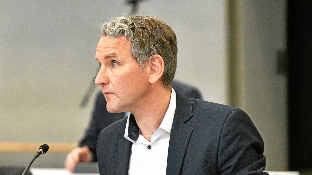 Björn Höcke ist Thüringens AfD-Chef.