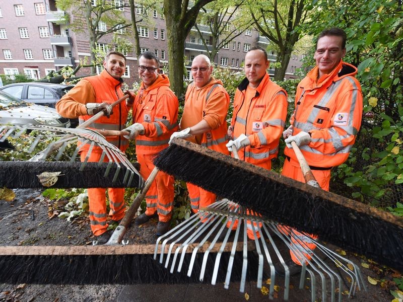 Stadtreinigung Hamburg sammelt 24.000 Tonnen Laub