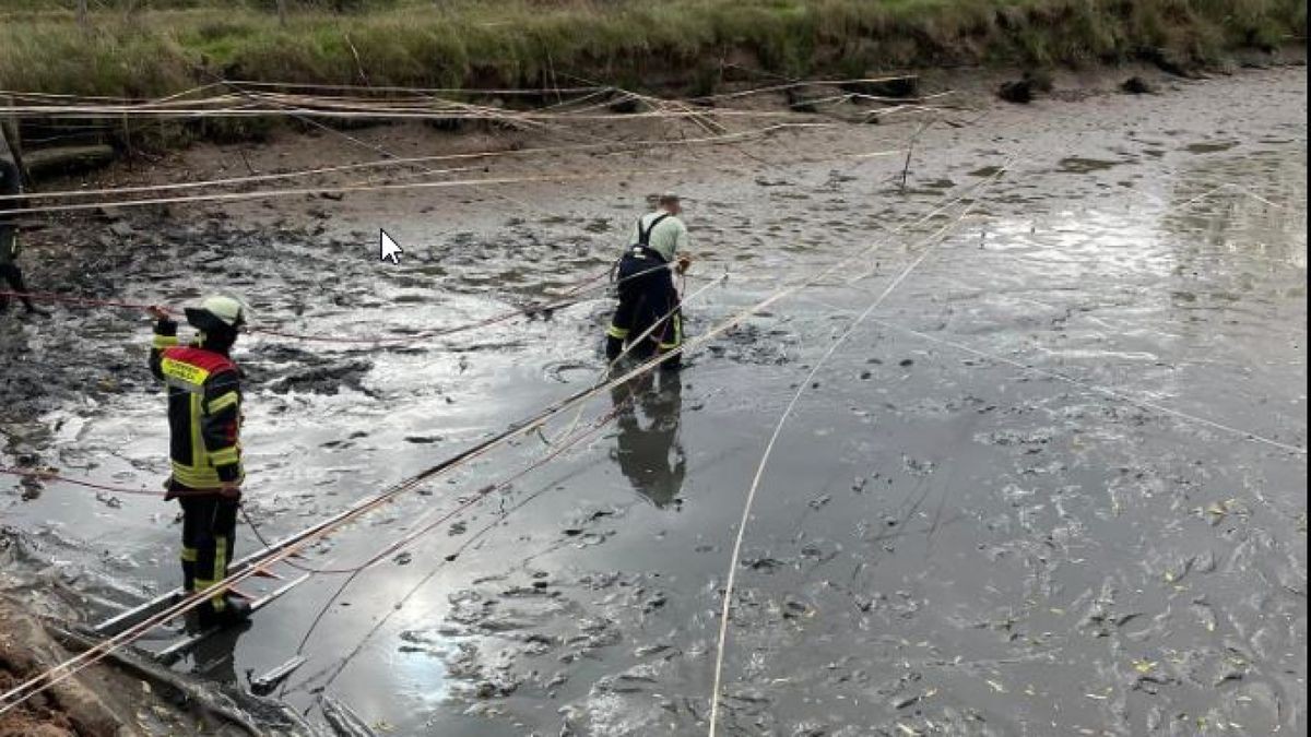 Der Angler wurde aus seiner misslichen Lage gerettet.