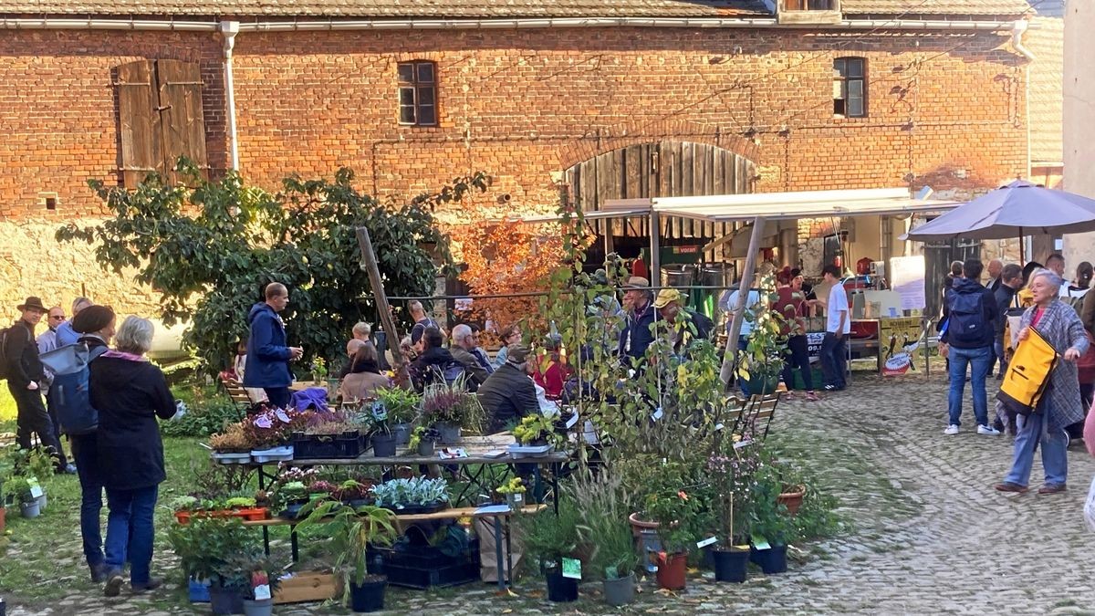 „Überwältigend“ viele Gäste in Launewitz