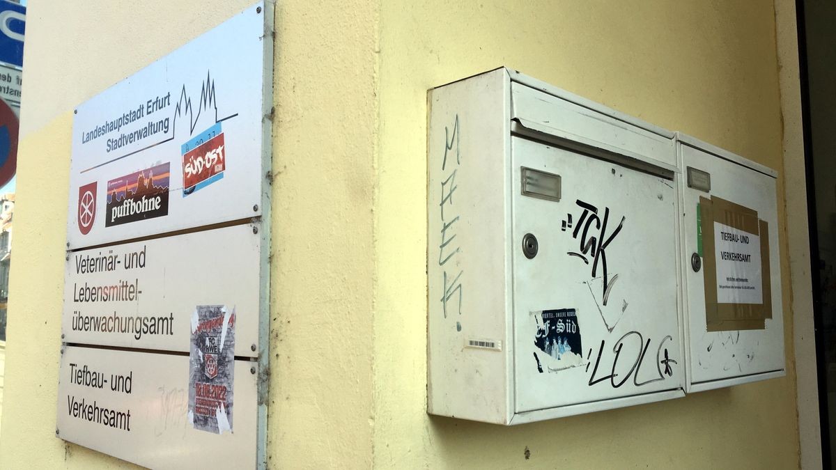 Vermutlich wurden die Tiere am Wochenende in den Briefkasten in der Johannesstraße gesteckt.