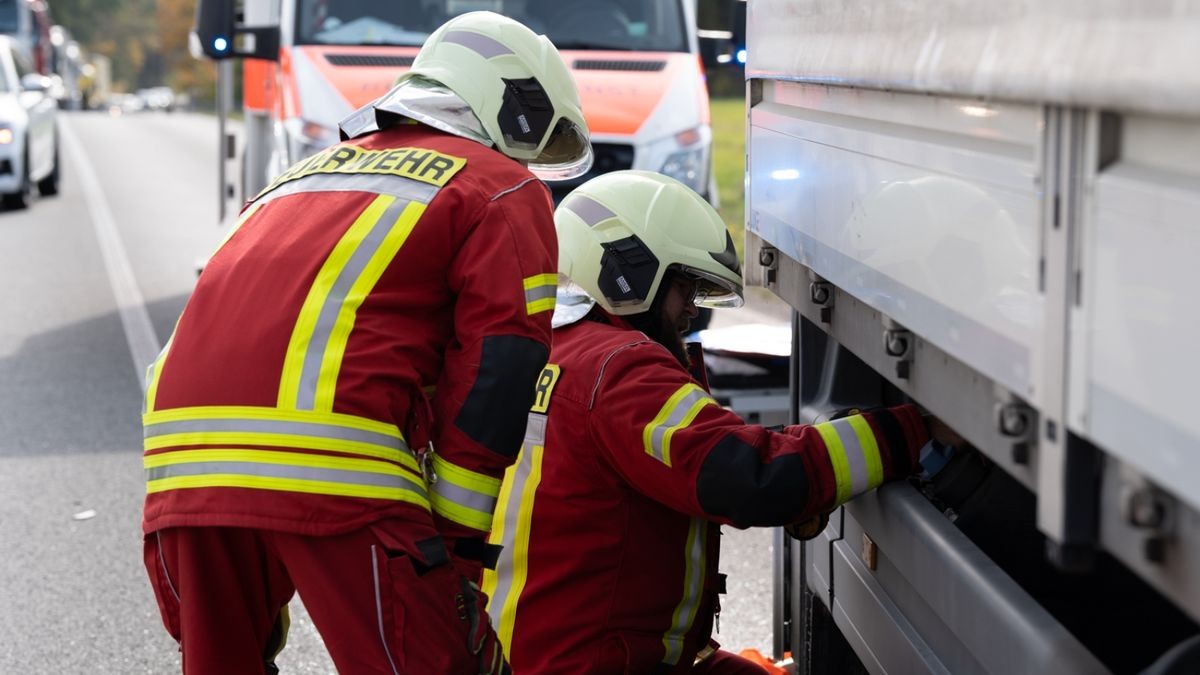 Diese mussten durch die Feuerwehr gebunden werden.