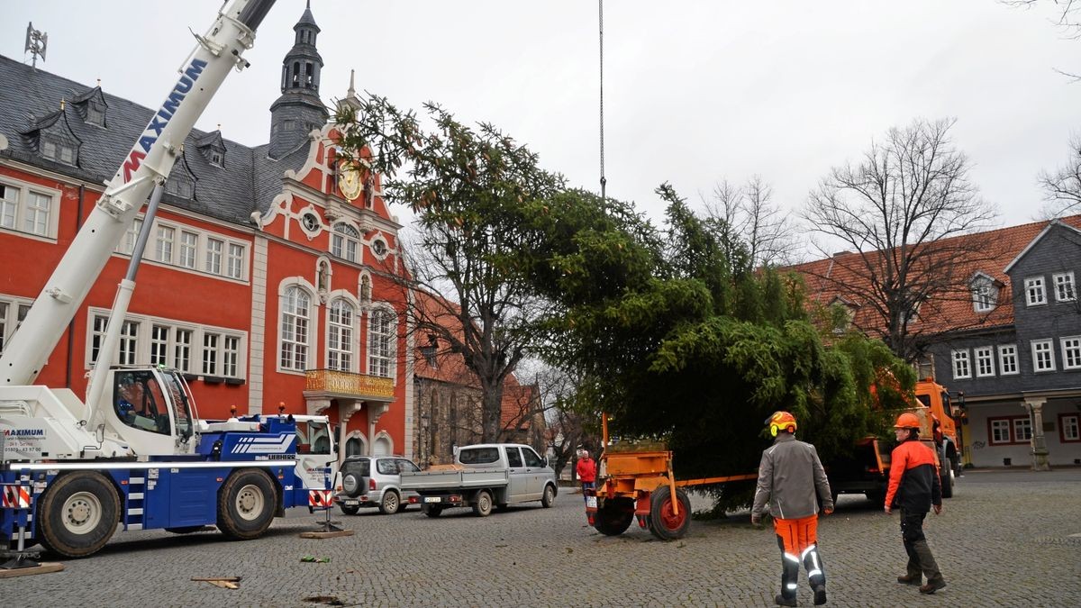 Die Fichte wurde im vorigen Jahr am 17. November auf dem Marktplatz aufgestellt. 