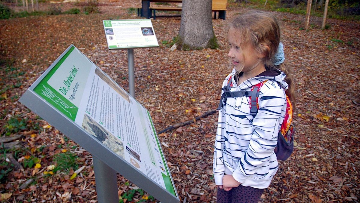 Das ist nur ein Teil der durch den Verein „Freunde von Roundtable Weimar“ mit Spenden, Sponsoren und Landes-Fördermitteln vorangetriebene Platzgestaltung: 16 neue Linden wurden gepflanzt, Wege gestaltet, Bänke und Info-Tafeln aufgestellt, gefährdete Bäume mit Stützkonstruktionen gesichert.Das Oval der Uhrdaer Kopflinden im Döbritscher Pfarrholz zwischen Vollradisroda und Bucha hat nach einem aufwendigen Rettungs- und Sanierungsprojekt inzwischen fast sein fertiges Antlitz und wird bei schönem Wetter von vielen Waldspaziergängern frequentiert.