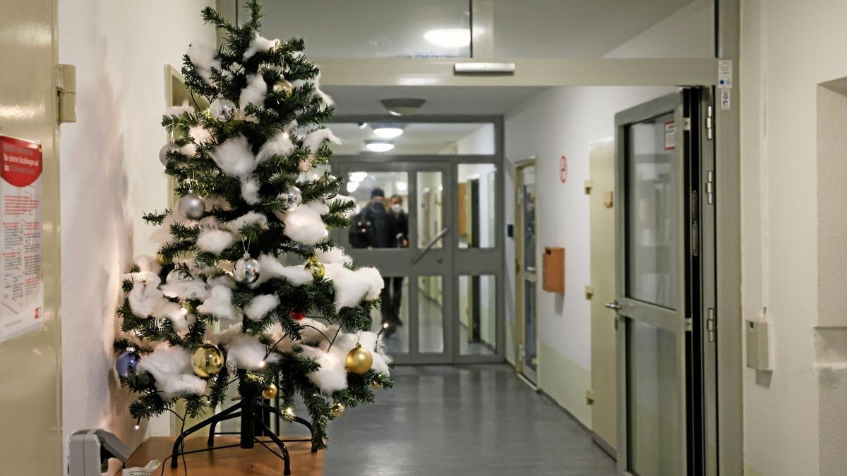 Im Gefängnis Suhl-Goldlauter verbreitet im vergangenen Jahr ein geschmückter Baum etwas Weihnachtsstimmung (Archivfoto).  