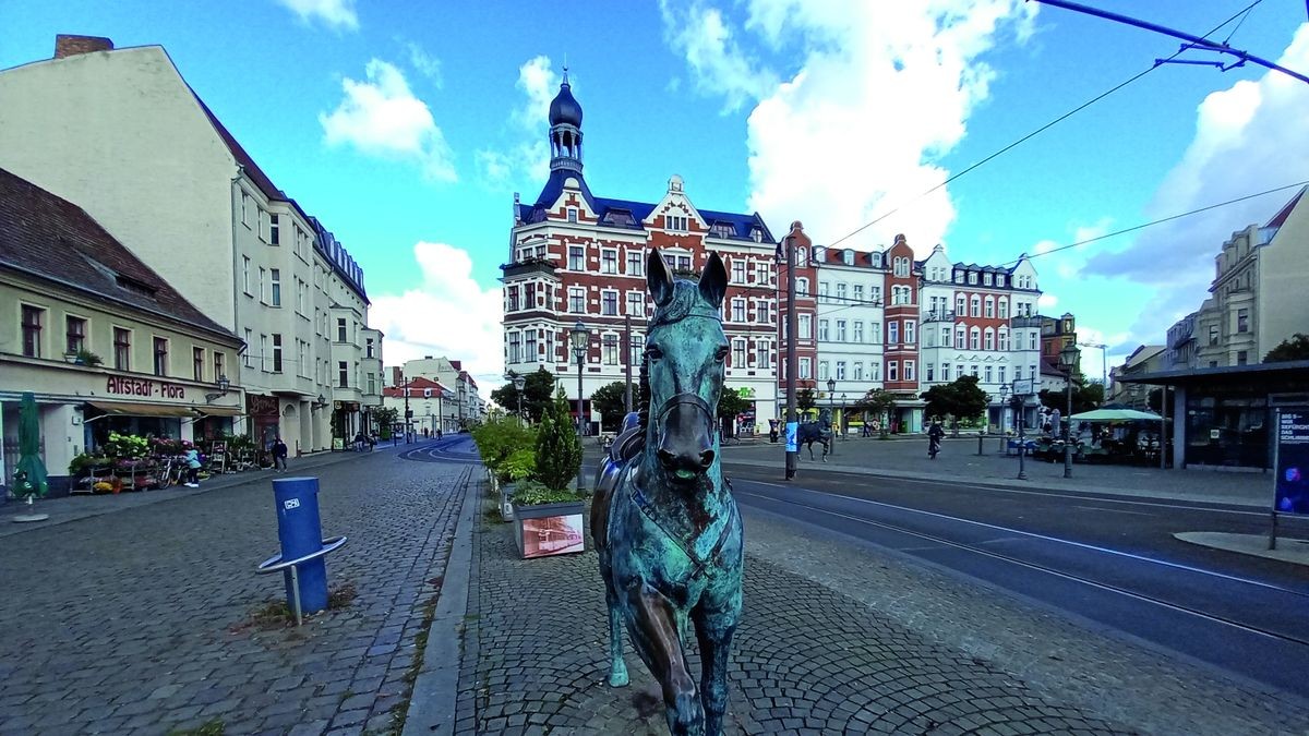 Auf dem Schlossplatz in Alt-Köpenick stehen einige Pferdebronzen.