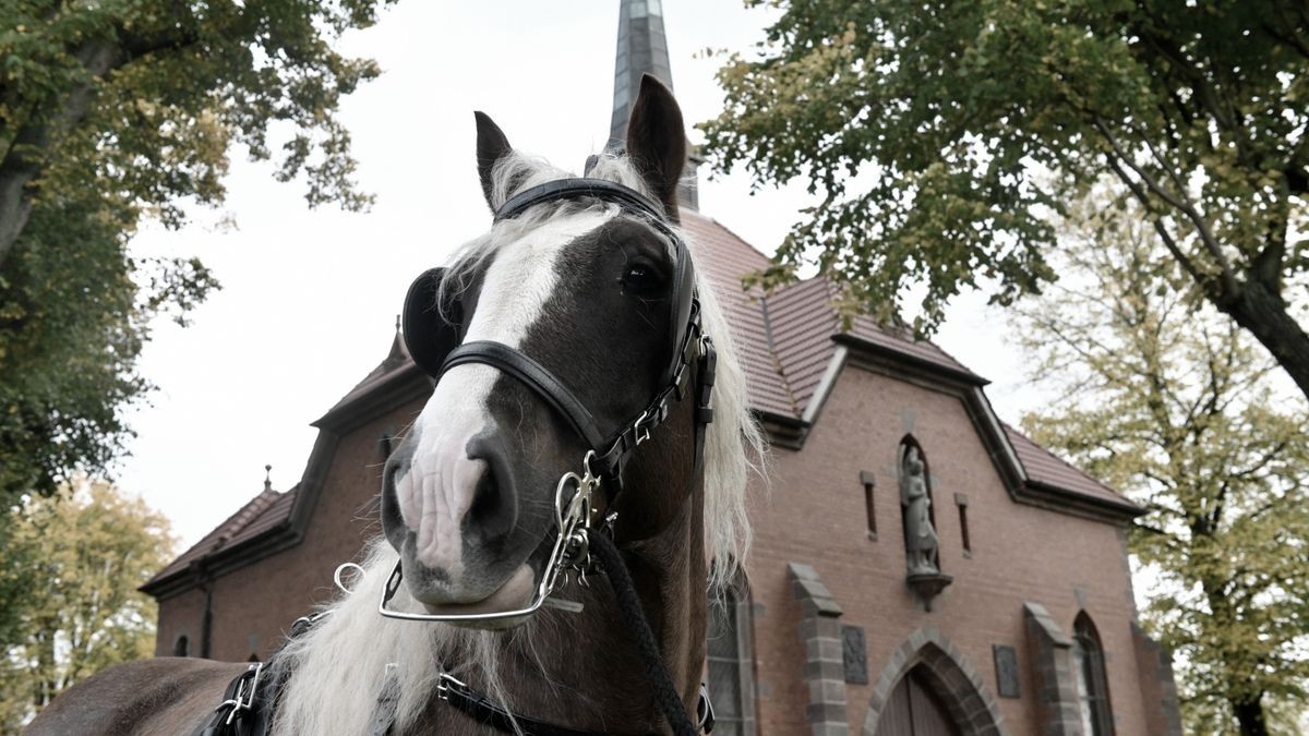 Wallfahrtskapelle St. Mariä Himmelfahrt Etzelsbach