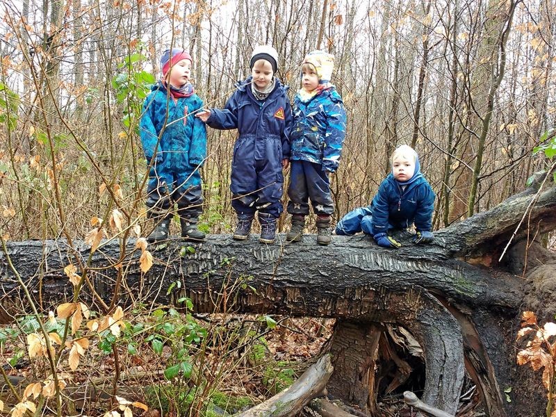 Wie Todendorfs Kita-Zwerge zu Klimarettern wurden