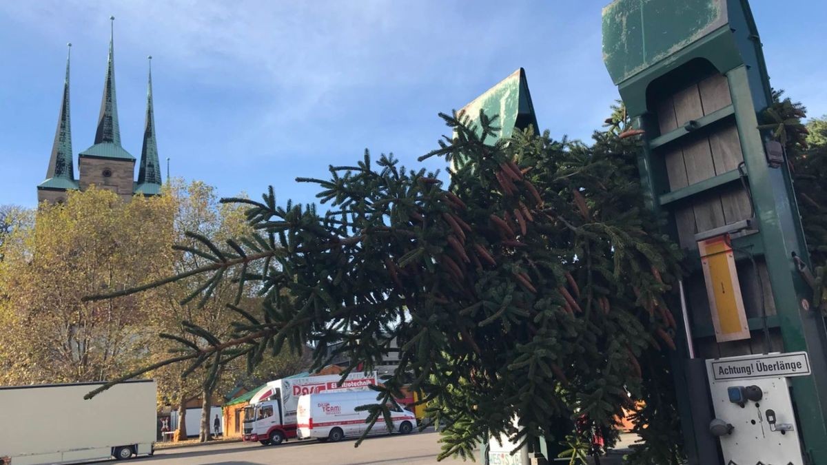 Der Weihnachtsbaum ist auf dem Domplatz angekommen.