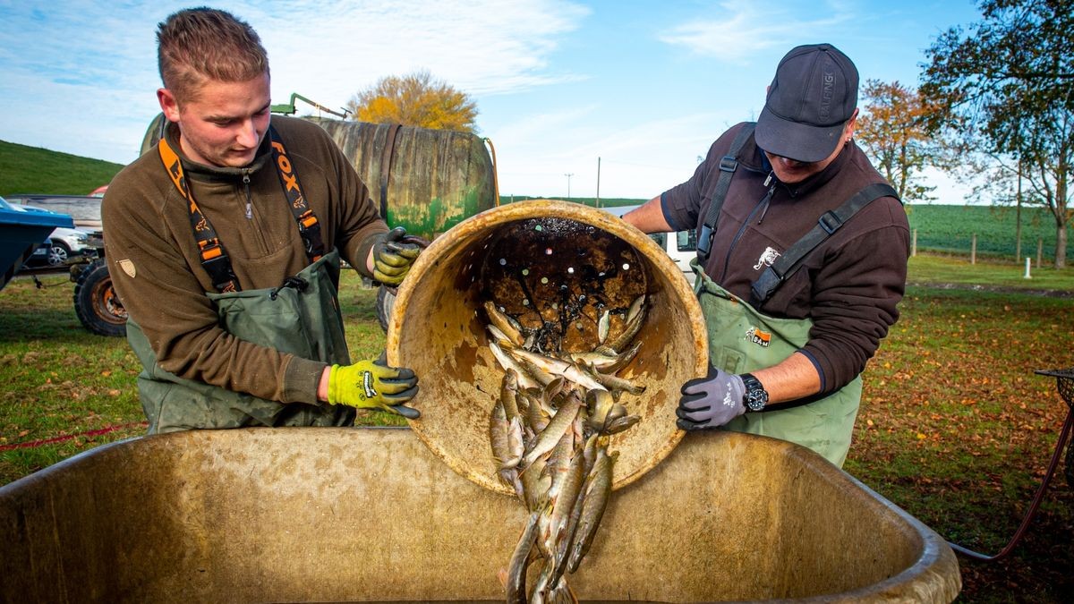 Mitglieder des Anglervereins Mühlhausen beim Abfischen an der Talsperre Seebach (Stausee bei Niederdorla). Im Bild: Lukas Knetsch und Marco Szameitat.