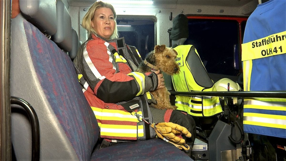 Die Feuerwehr betreute einen Hund, der mit im Auto der Frau unterwegs war. 